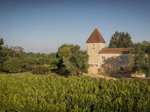 Maisons de vacances Renovated dovecot with pool in the vineyards near Bordeaux : photos des chambres