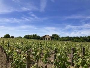 Maisons de vacances Renovated dovecot with pool in the vineyards near Bordeaux : photos des chambres