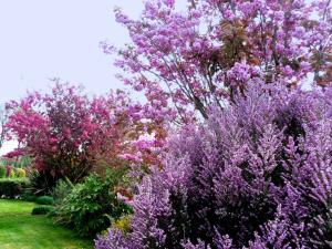 Maisons de vacances Stylish Holiday Home in Morlaix with Private Garden : photos des chambres