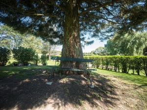 Appartements Apartment at the edge of a forest in Les Vosges : photos des chambres