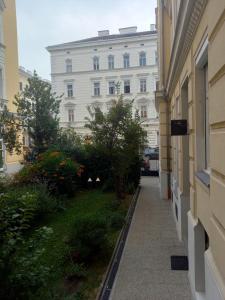 The Room for Artists Vienna