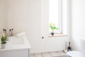 Gare - Redline - Centre Ville