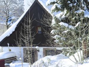 Holiday home with terrace in the Black Forest