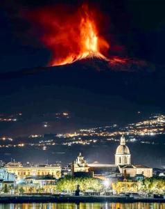 Cozys house nel cuore della città