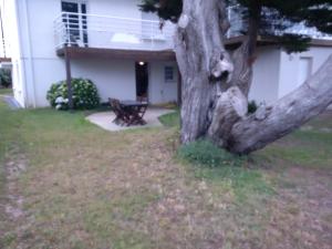 Appartements Appart 53 m2 en Rdc maison, jardin, a 50 m plage : photos des chambres