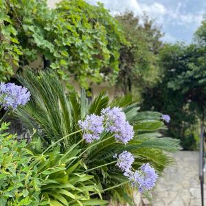 Sejours chez l'habitant Bastide Aina SPA et piscine : photos des chambres