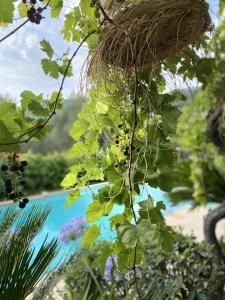 Sejours chez l'habitant Bastide Aina SPA et piscine : photos des chambres