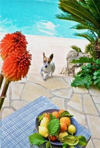 Sejours chez l'habitant Bastide Aina SPA et piscine : photos des chambres