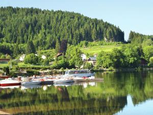 Maisons de vacances Holiday home in Le Haut Du Them a drive from nature reserve : photos des chambres