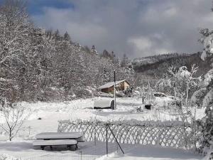 Maisons de vacances Holiday home in Le Haut Du Them a drive from nature reserve : photos des chambres