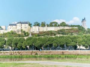 Maisons de vacances Former customs house with large garden and private pool 4 km from Chinon : photos des chambres