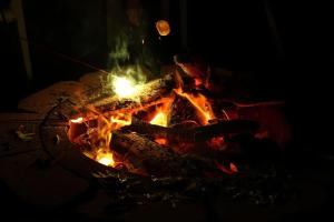 Secluded Home with Mini Waterfall and a Creek in Hot Springs