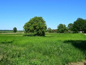 Maisons de vacances Spacious Cottage in Saint Jean de Sauves with Terrace : photos des chambres