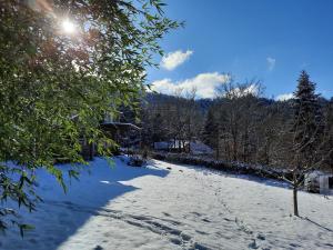 Chalets Tasteful Chalet in Raon L etape with Barbecue : photos des chambres