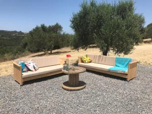Stunning Sea-view Villa with Pool in Kamaria