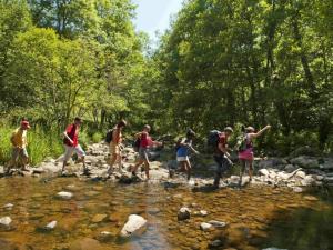 Maisons de vacances Gite Vielprat, 1 piece, 4 personnes - FR-1-582-337 : Maison de Vacances