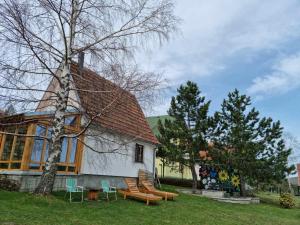 Holiday house Zmajevac (Tornik, Zlatibor)