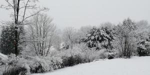 B&B / Chambres d'hotes La Tuilerie B&B : Chambre Double - Vue sur Jardin