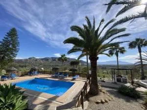 LAS PALMERAS - 皮萨拉