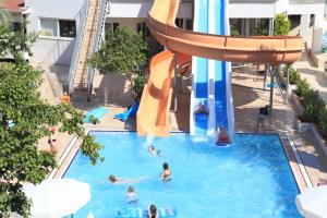 Catty Cats Garden Hotel