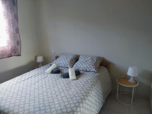 Appartements Tres bel appartement spacieux : photos des chambres