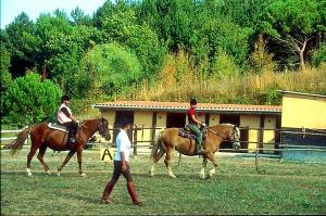 Toscana Wellness Resort