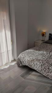 Don Cristian Málaga Centro