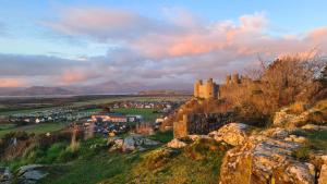 Y Branwen Restaurant & Rooms - Adult Only and Dog Friendly