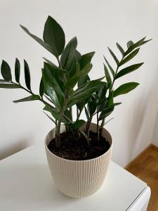 Paris apartment -Free private parking