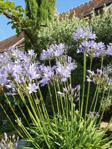 B&B / Chambres d'hotes Les Glycines : photos des chambres