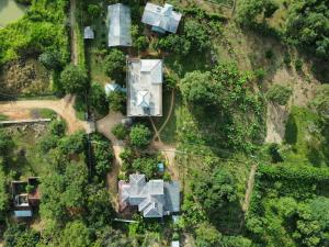 Green Hut Nature Resort