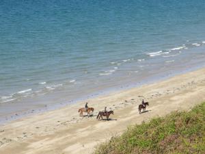 Appartements Grand studio Clemenceau Vue mer 3 etoiles : photos des chambres
