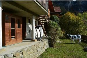 Chalets Chalet with terrace and fireplace : photos des chambres