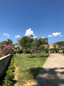 Aloni Studios and Apartments