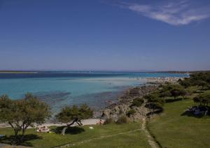 Calascoglietti img28