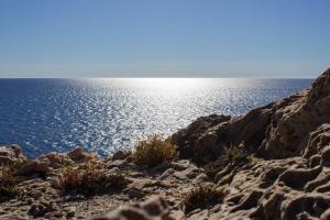 Calascoglietti img41