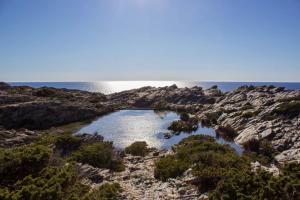 Calascoglietti img46