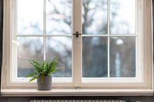 Riga City Centre Studio - Vermanes Garden View