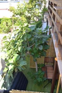 Triple Room with Terrace room in Domik u Plyazha Guest House
