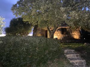 Il Nuraghe del lago Coghinas img26