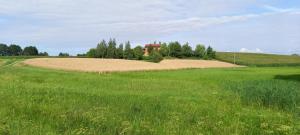 Dom gościnny LERKA Mazury jeziora lasy