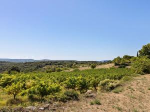 Maisons de vacances Stone holiday home with private pool in southern Ard che : photos des chambres