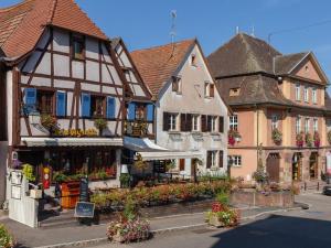 Appartements Stunning Apartment in heart of Dambach La Ville : photos des chambres