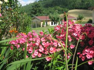 Chalets Secluded Chalet in Egliseneuve des Liards with Balcony : photos des chambres