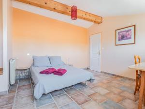 Maisons de vacances Comfy Holiday Home in Saint-Denis with Private Pool : photos des chambres
