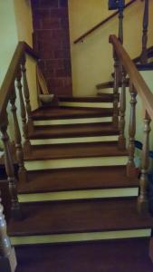 B&B Mony e Nico img23