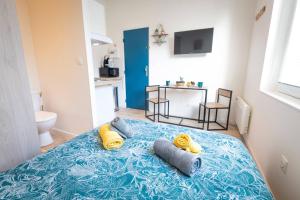 Appartements KASA Suite - Studio tout equipe et Cosy : photos des chambres