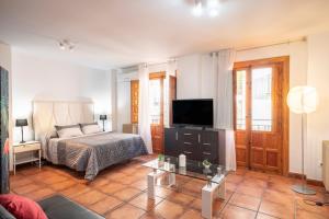 Apartamento Pavaneras en pleno centro de Granada