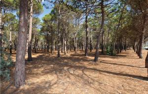 Maisons de vacances Lovely Home In Baixas With Wifi : photos des chambres
