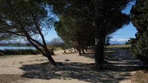 Maisons de vacances Bastide le Petit Clos - les 2 Gites : photos des chambres